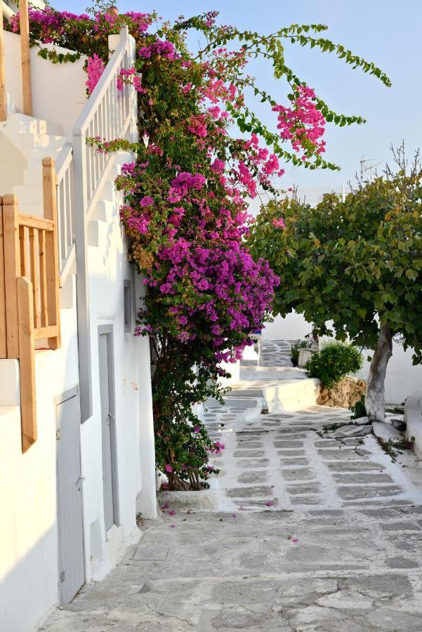 Marietta'S Lägenhet Mykonos Town Exteriör bild